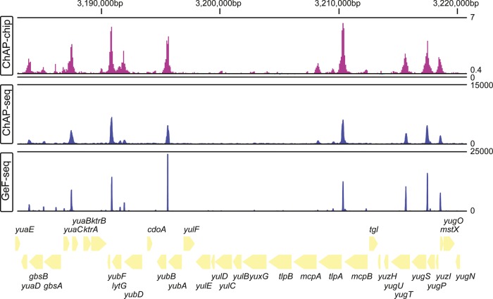 Figure 2.