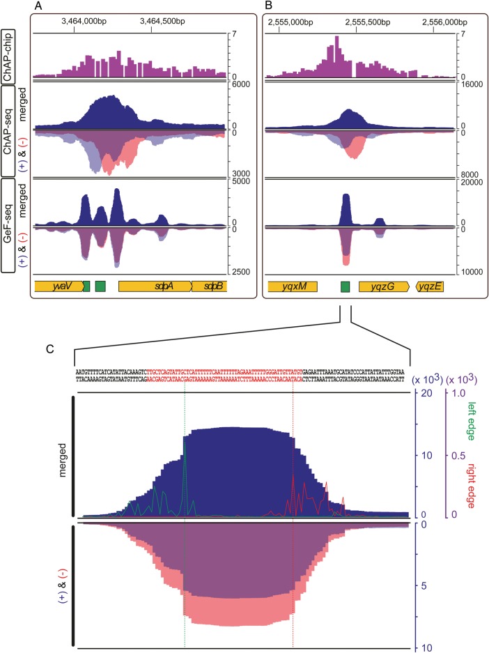 Figure 3.