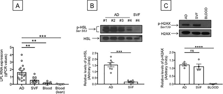 Fig 5