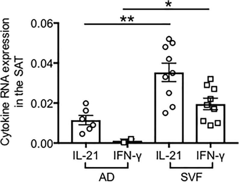 Fig 10