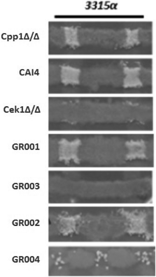 FIG 3