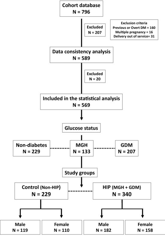 Fig. 1