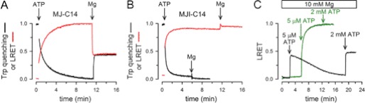 FIGURE 2.