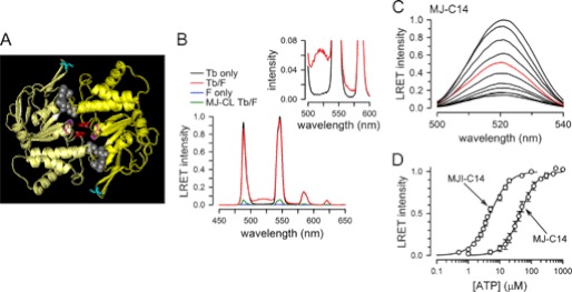 FIGURE 1.