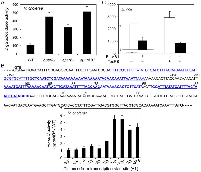 FIG 3 