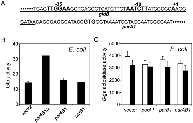 FIG 4 