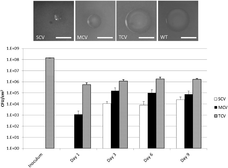 Fig. 1.—