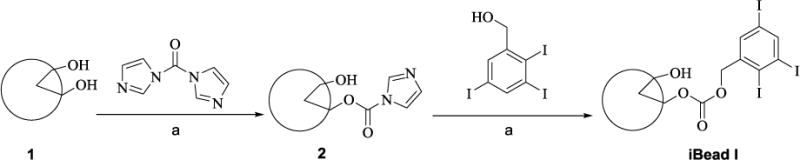 Scheme 1