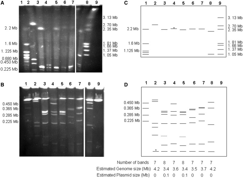 Fig. 4.—