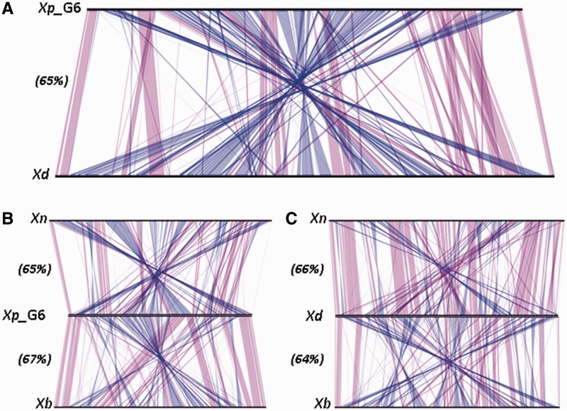 Fig. 3.—