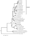 F<sc>ig</sc>. 1.—