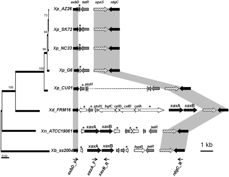 Fig. 5.—