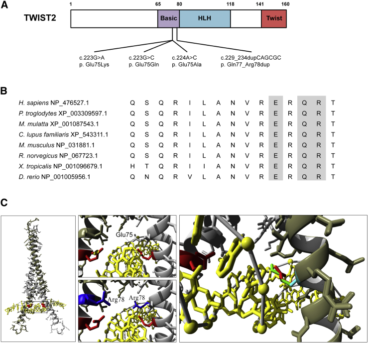 Figure 2