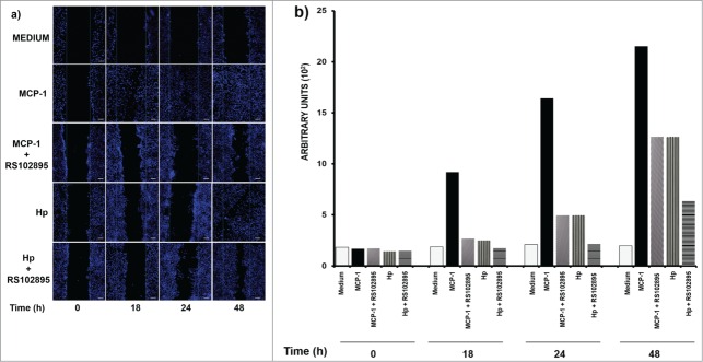 Figure 5.