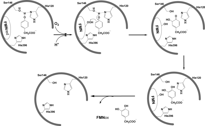 FIGURE 9.