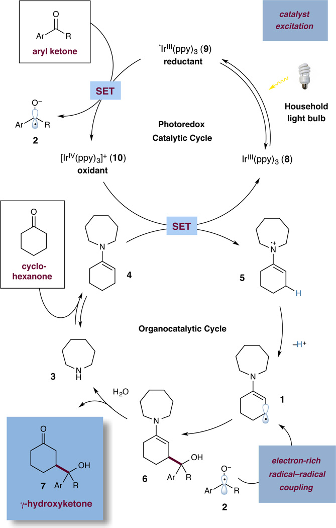 Scheme 1