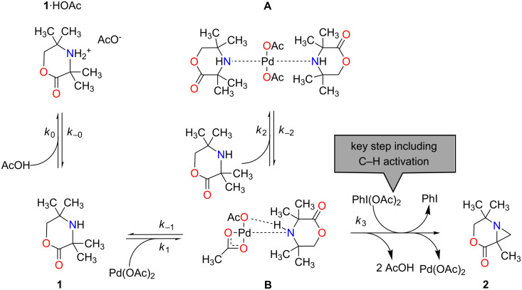 Scheme 2