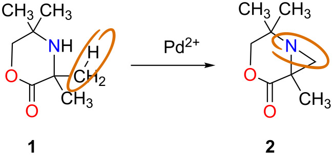 Scheme 1