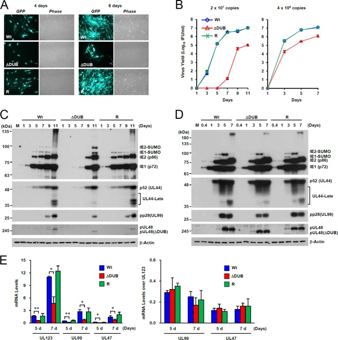 FIG 3