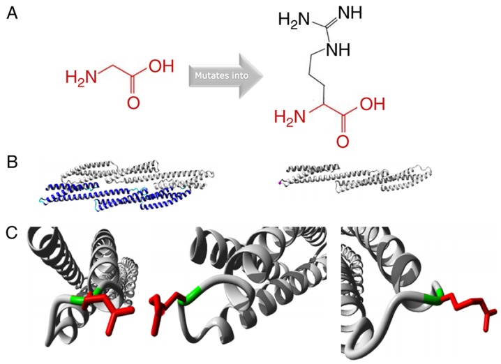 Figure 3.