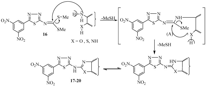 Scheme 5