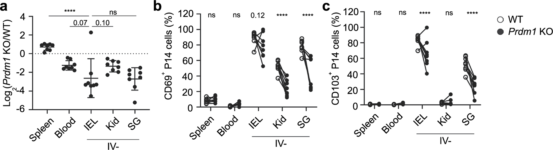 Extended Data Fig. 8 |