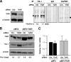 FIG. 9.