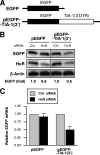 FIG. 8.