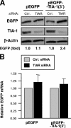 FIG. 10.