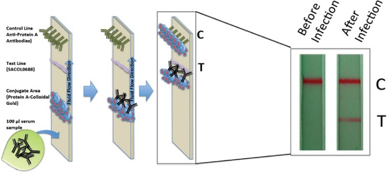 FIG 1