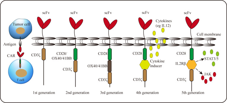 Figure 2