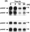 FIG. 6