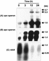 FIG. 7