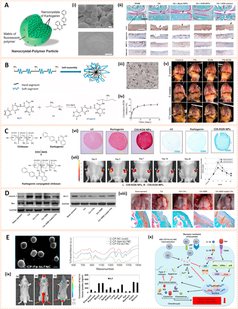 Fig. 10