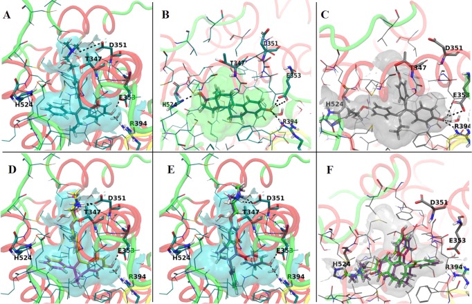 Figure 7