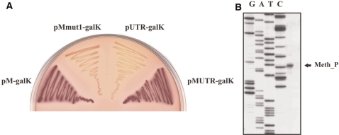 Figure 3.