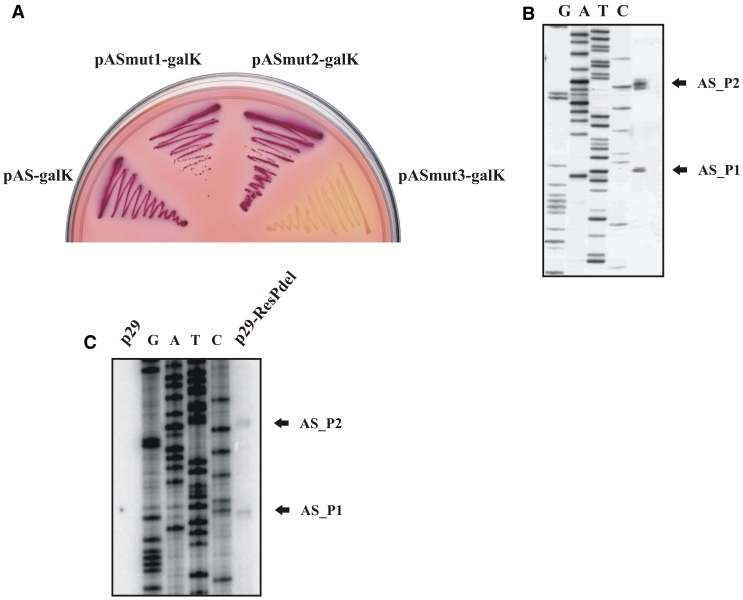 Figure 5.