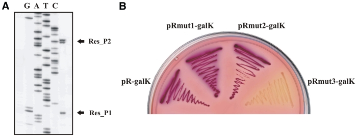 Figure 2.