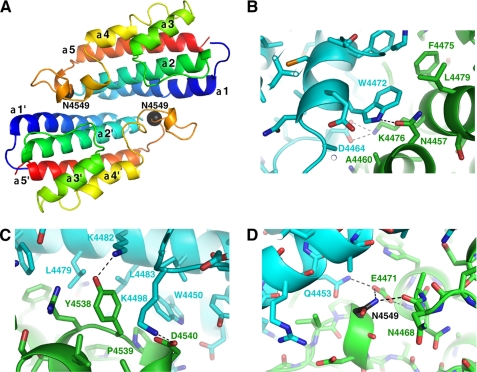 FIGURE 2.