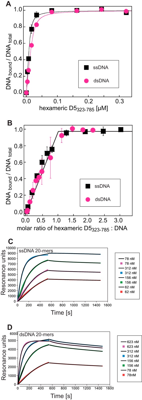 FIG 5