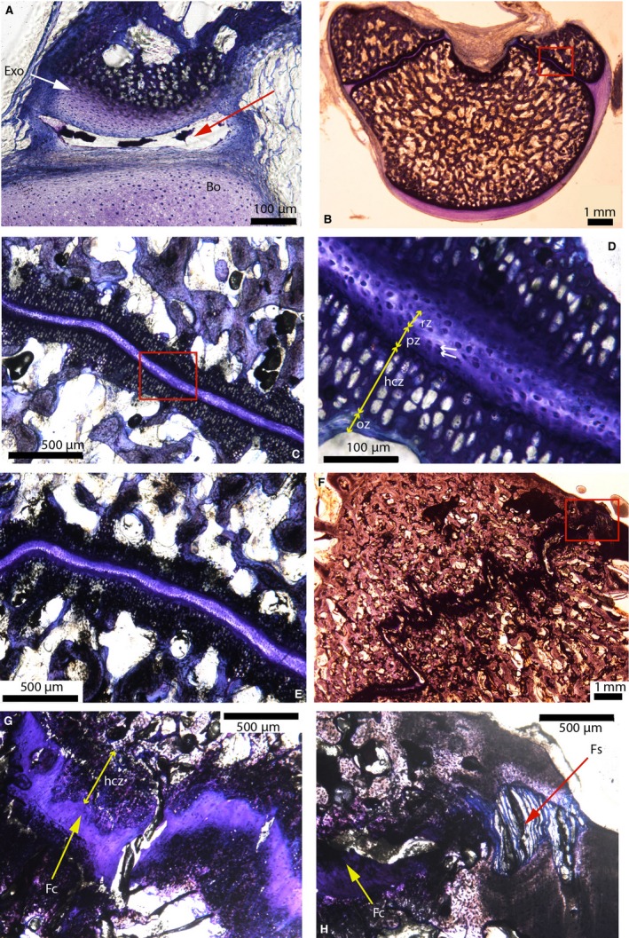 Figure 14