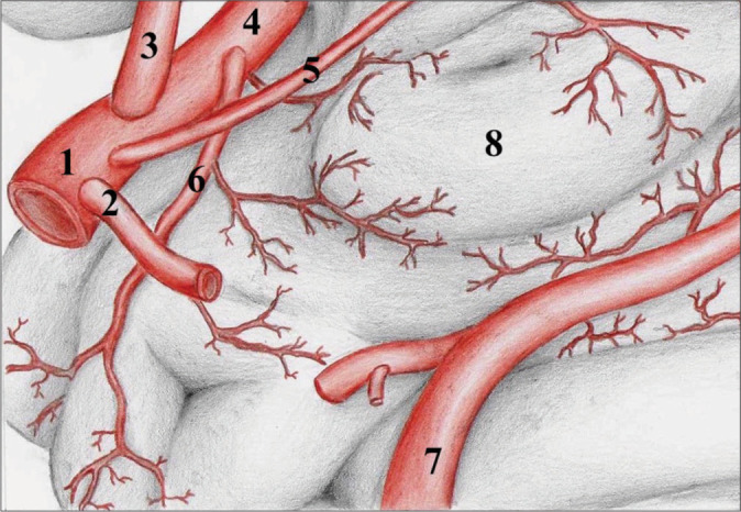 Figure 6: