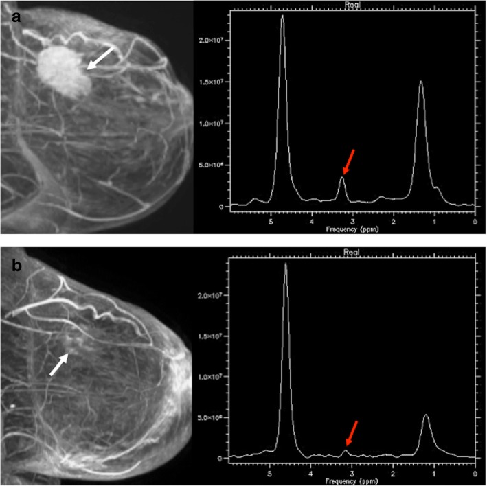 Fig. 16