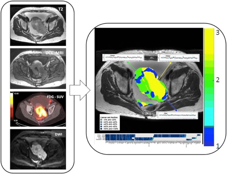 Fig. 20