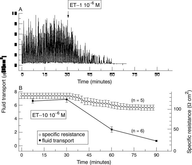 Figure 5  