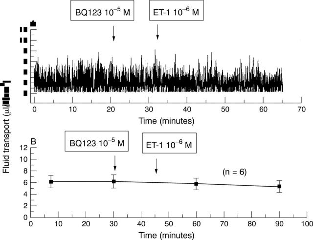 Figure 6  