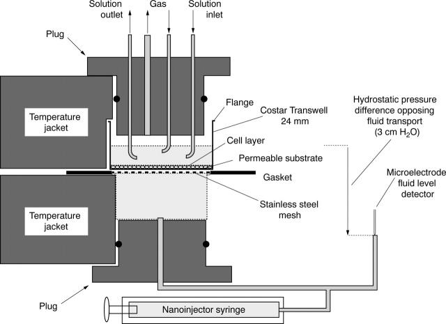 Figure 1  