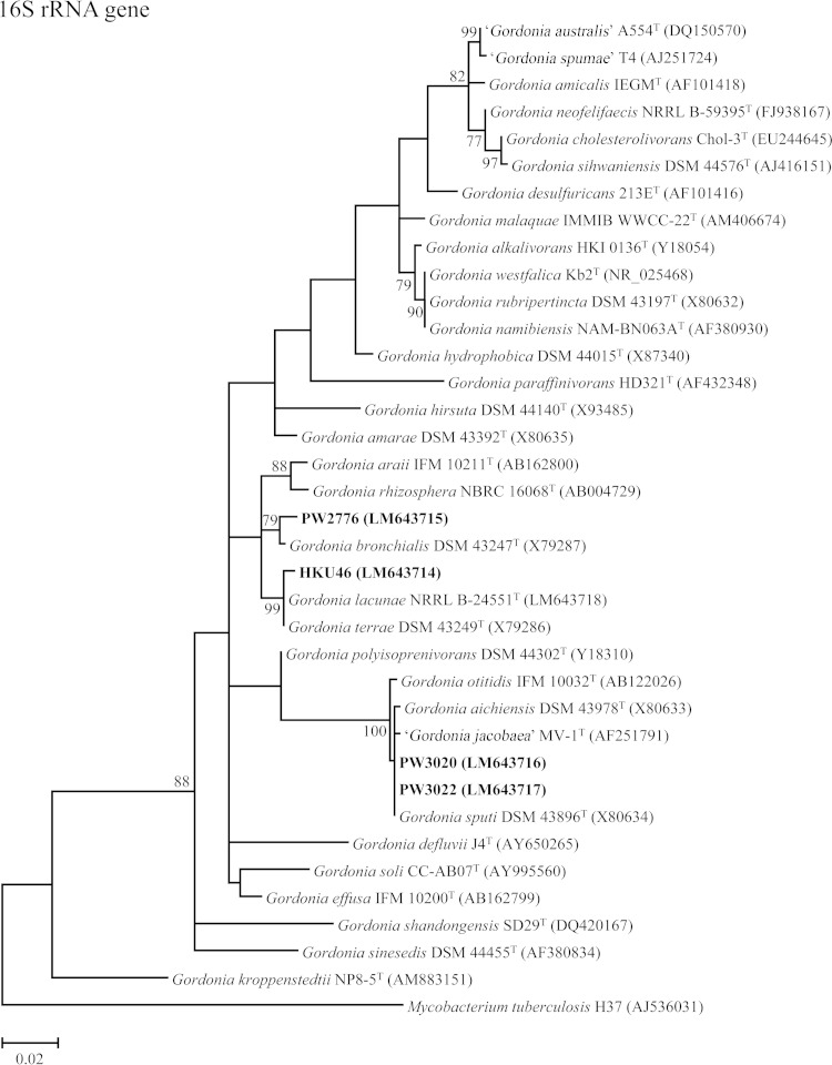 FIG 1