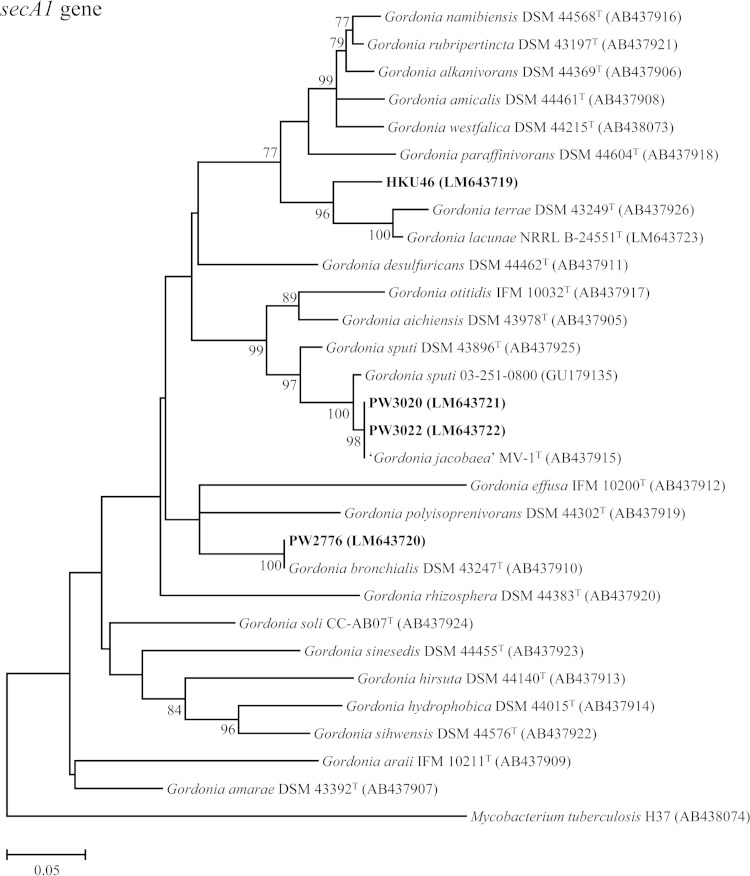 FIG 1