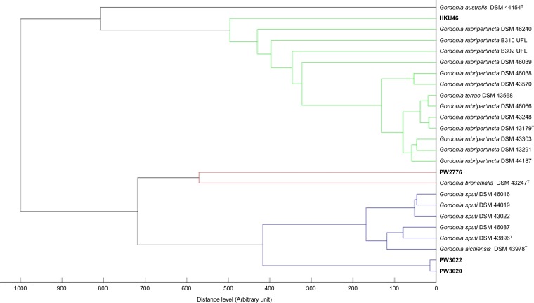 FIG 2